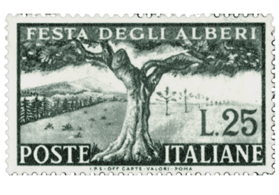 sello arbol it